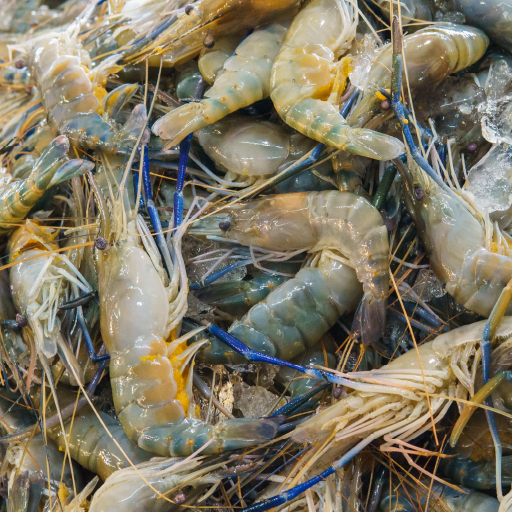 Agriculture & Aquaculture
